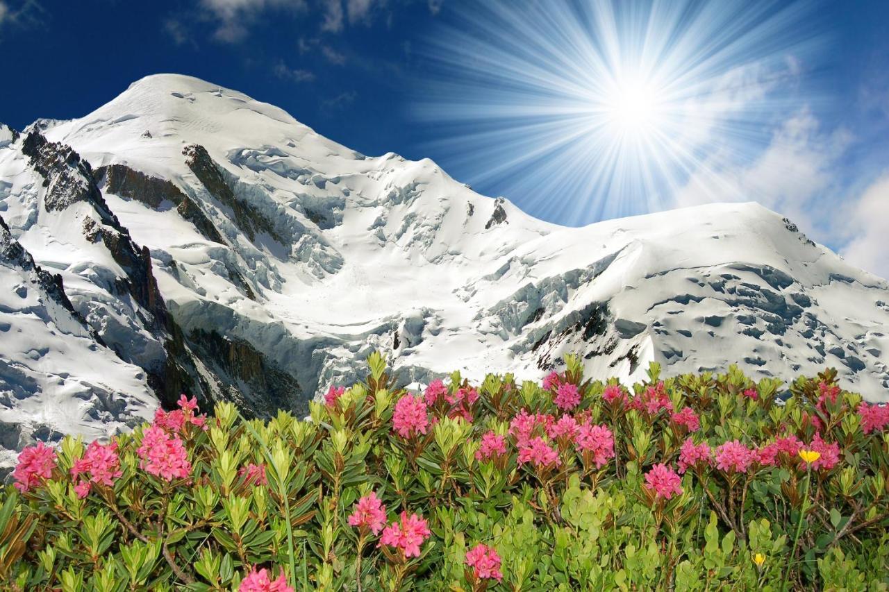 Résidence Le Cristal - Lognan 4 * Chamonix Mont Blanc
